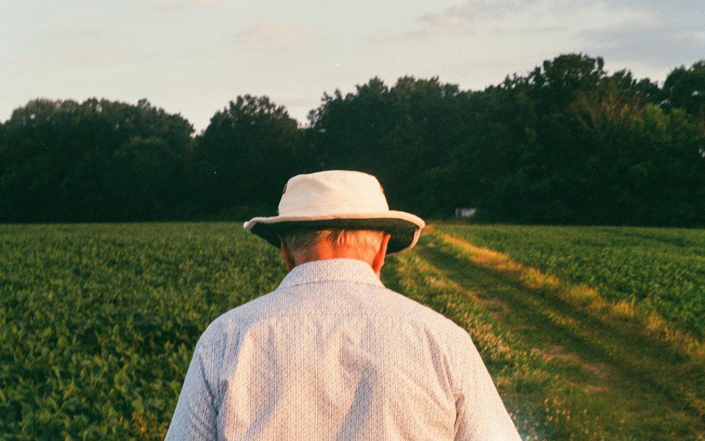 Dusk, Farm