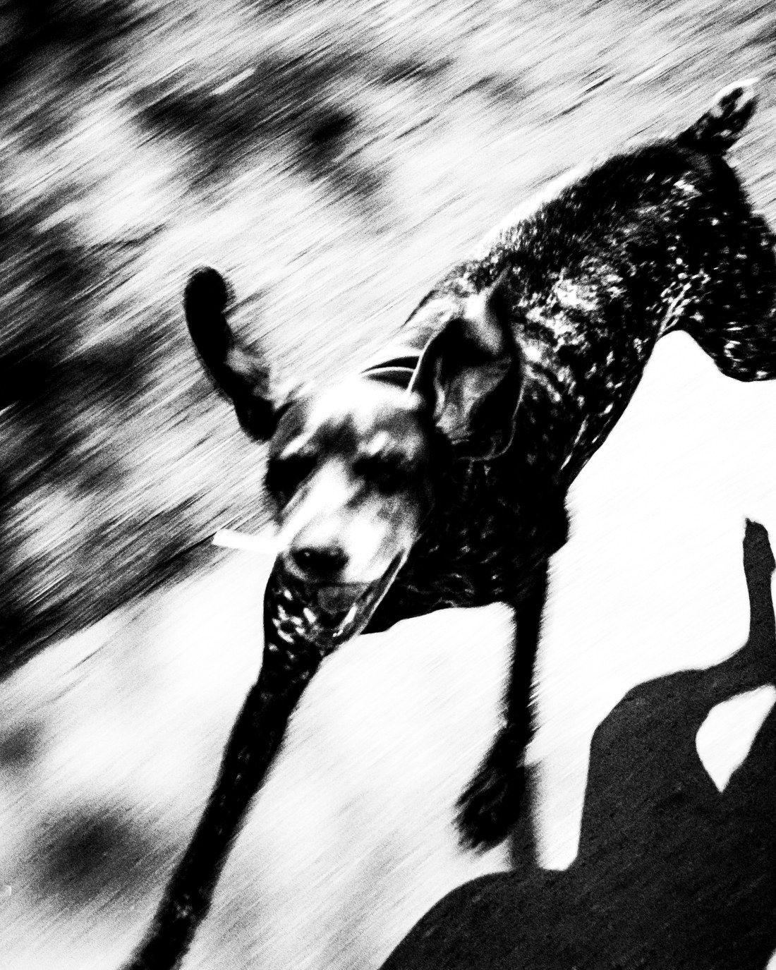Run